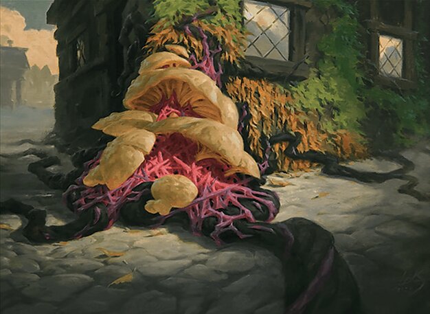Sowing Mycospawn