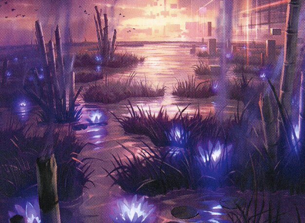 Takenuma, Abandoned Mire