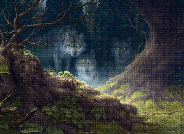 Wolfwillow Haven